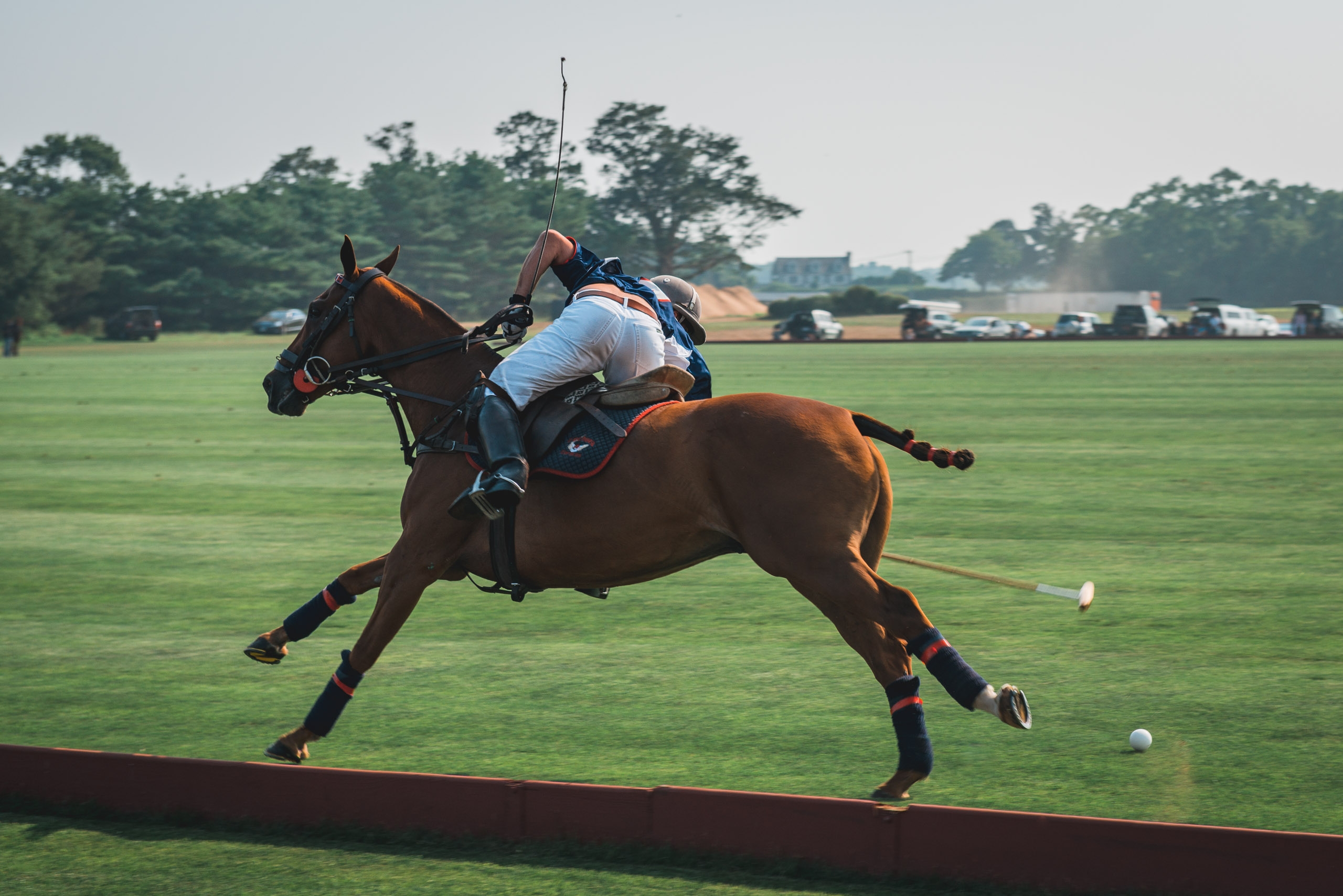 Polo at Full Speed - Part II