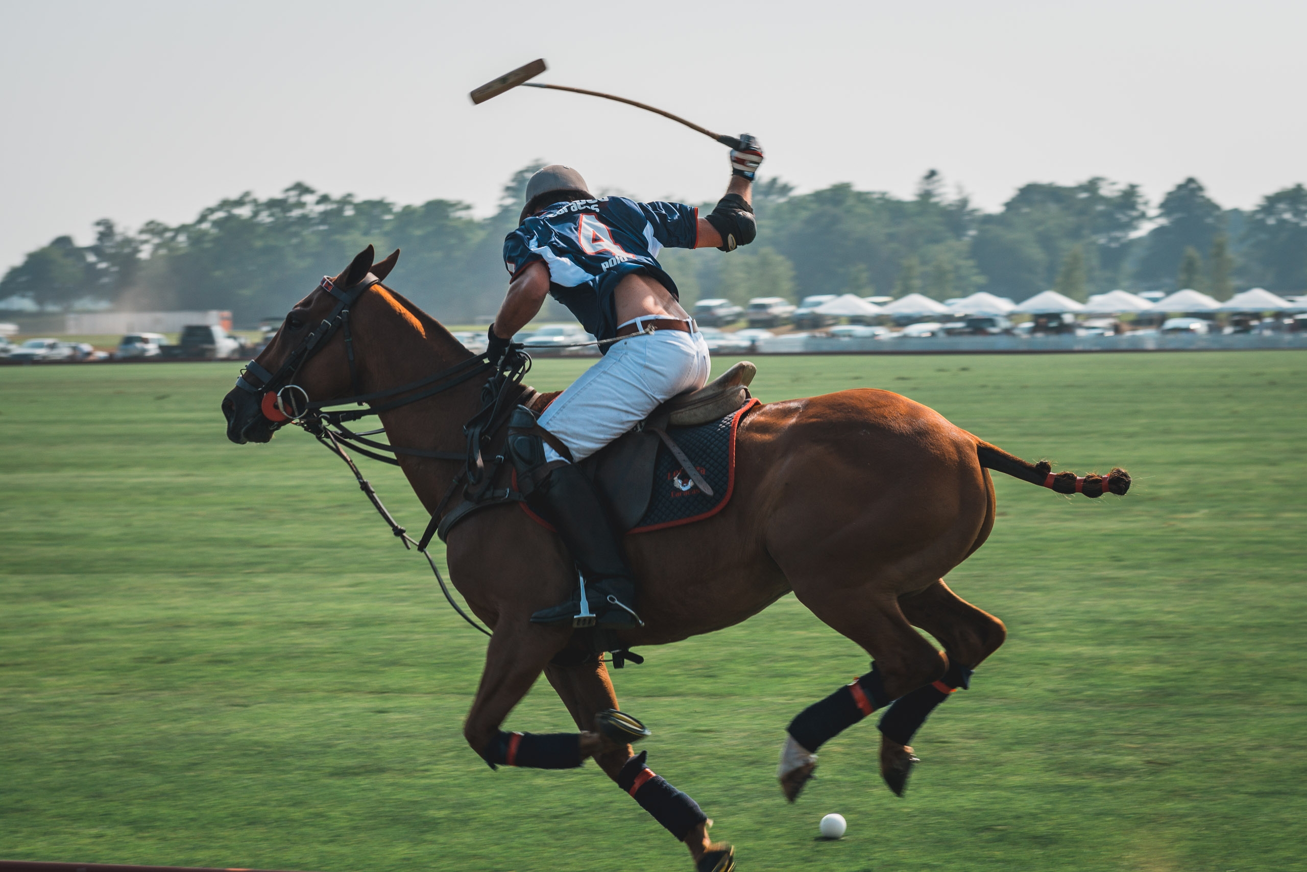 Polo at Full Speed