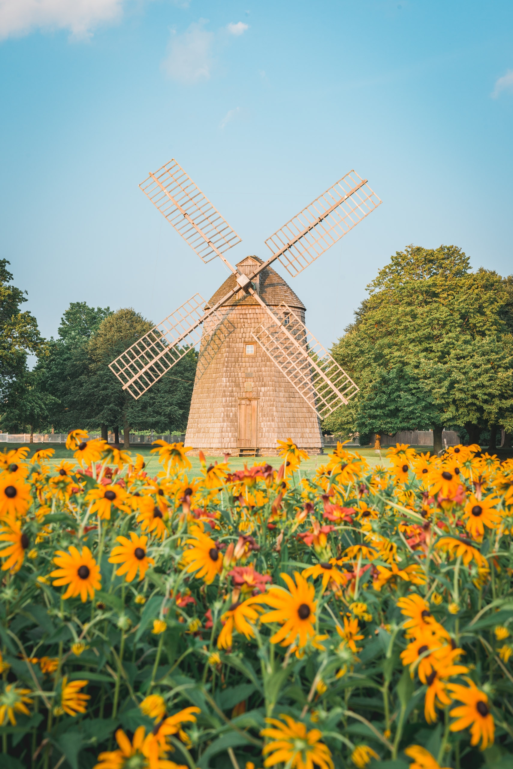 The Windmill and the Flowers