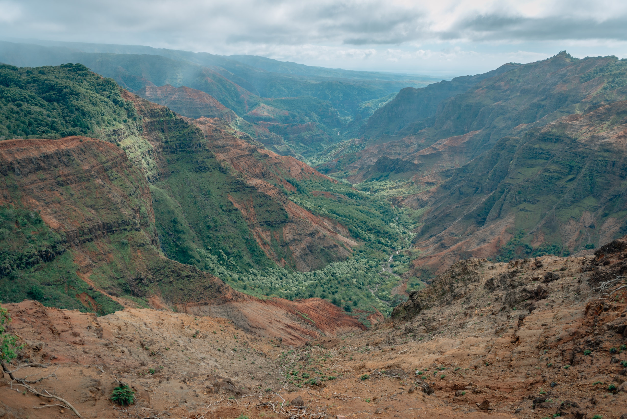 Overlooking Waimea Canyon 10