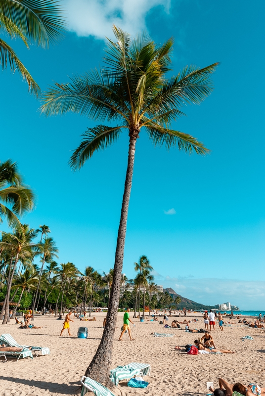 The Hilton Hawaiian Village in Waikiki 3