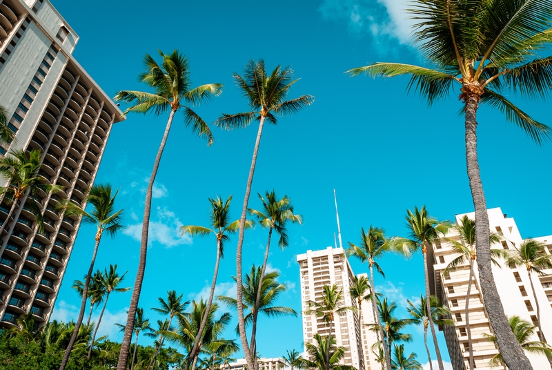 The Hilton Hawaiian Village in Waikiki