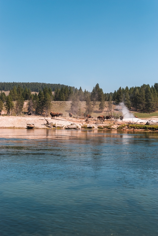 Yellowstone National Park - 2007-0827-DSC_0046_91067