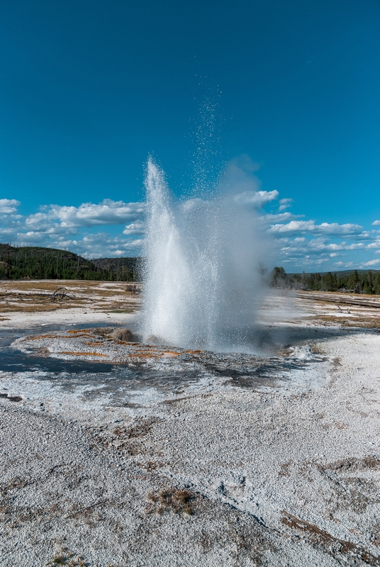 Yellowstone National Park - 2007-0827-DSC_0249_78178