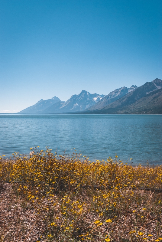 Grand Teton National Park - 2007-0828-DSC_0245_47583