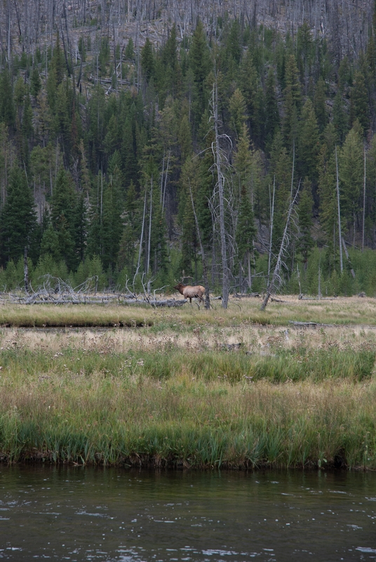 Grand Teton National Park - 2007-0904-DSC_0027_111644