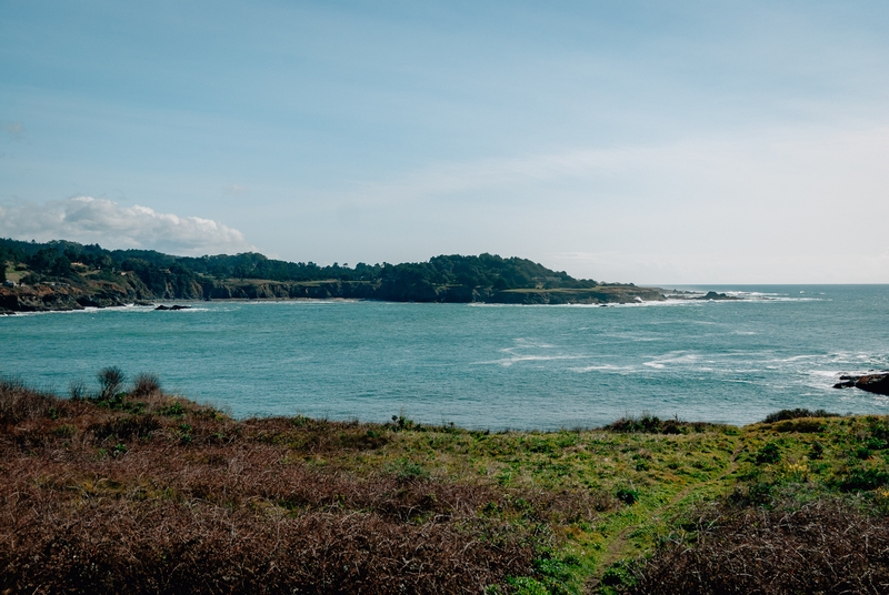 Mendocino - 2008-0301-DSC_0170_36414