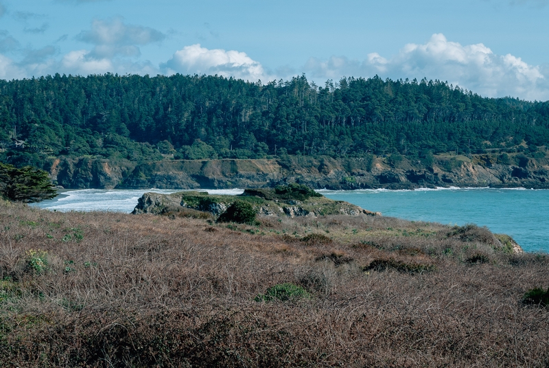 Mendocino - 2008-0301-DSC_0173_120944