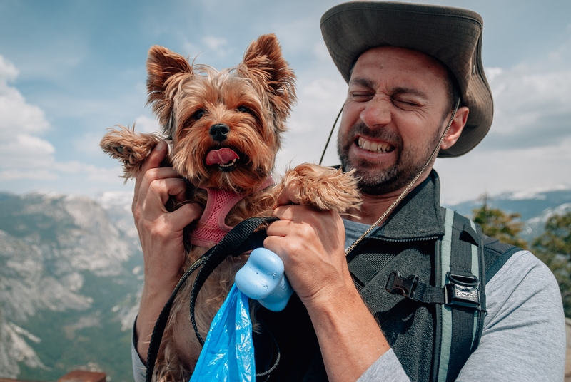 Suki Atop Glacier Point