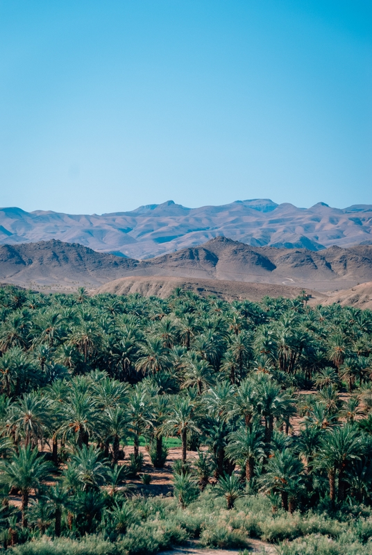 Morocco - 2008-0904-DSC_0058_36313