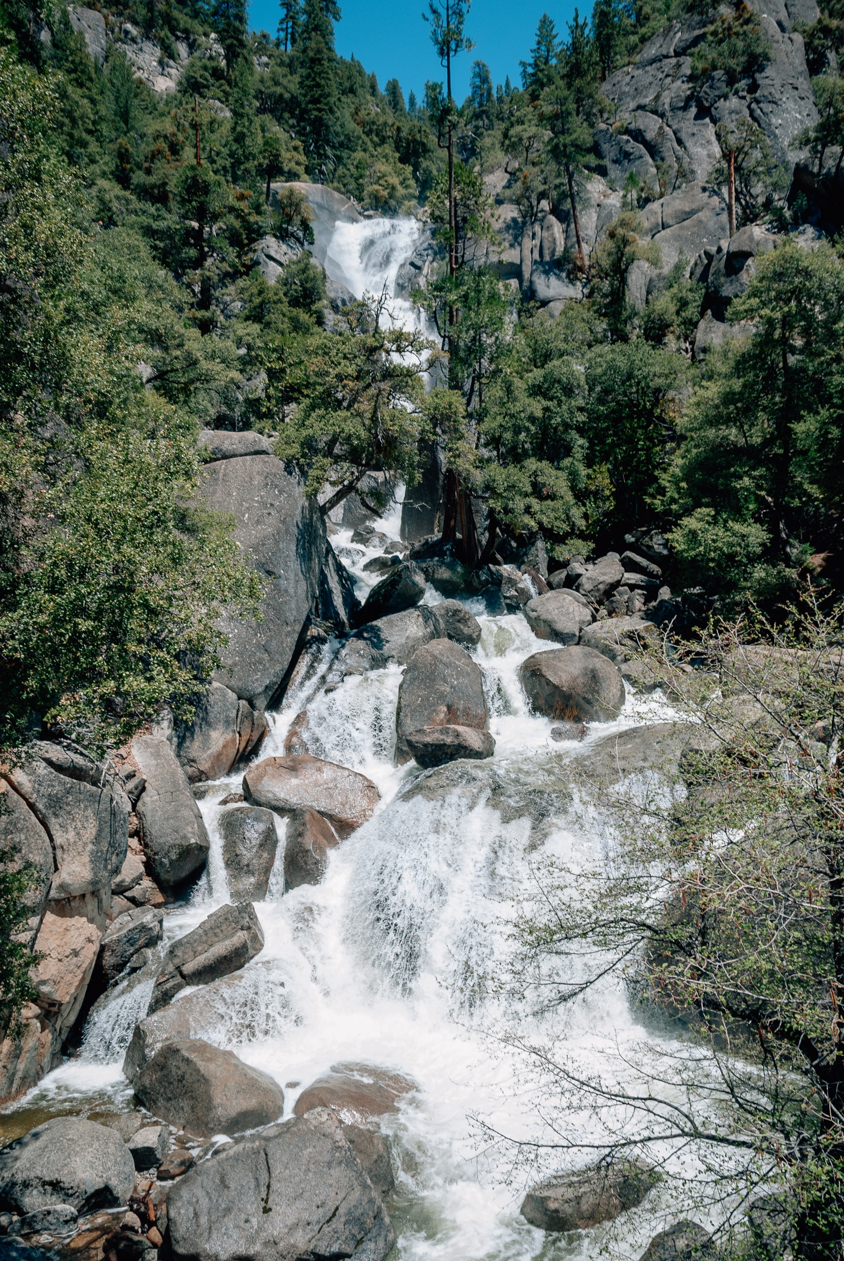 Yosemite National Park - 2009-0509-DSC_0041_75898
