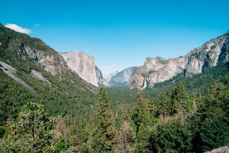 Yosemite National Park - 2009-0509-DSC_0102_32426