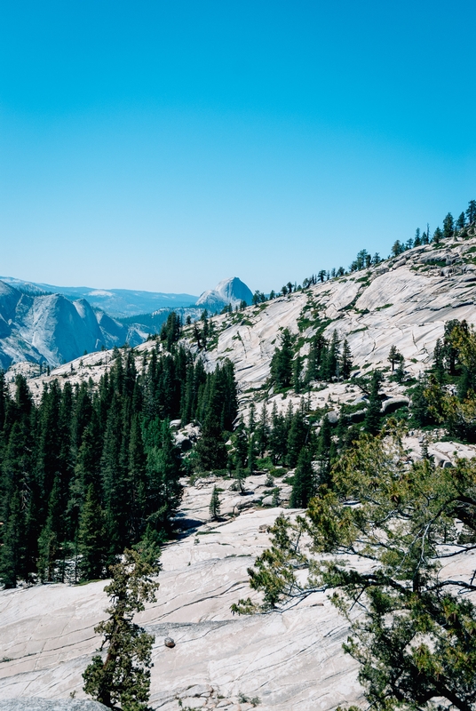 Yosemite National Park - 2010-0723-DSC_0070_5756