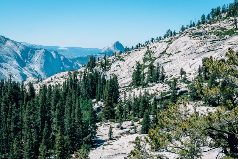 Yosemite National Park - 2010-0723-DSC_0072_103094