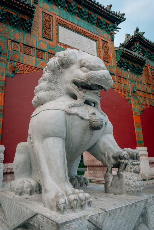 China - Beijing & The Great Wall - 2010-0903-DSC_0258_36501