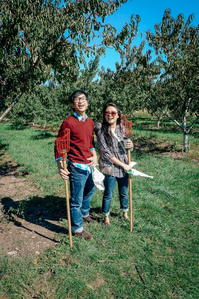 Apple Picking in Rockland County - 2010-1010-P1010749