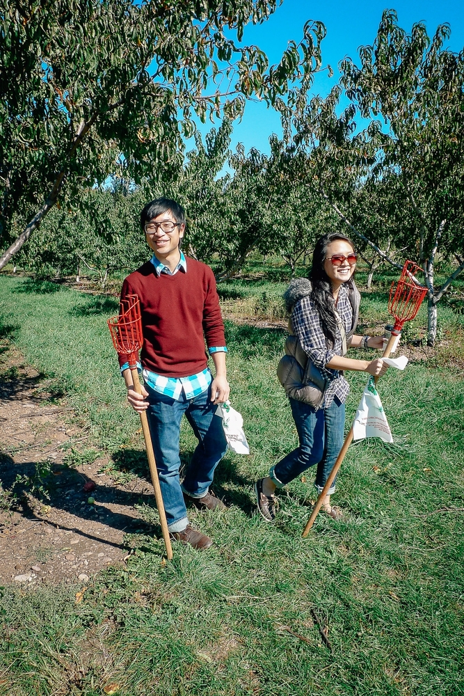 Apple Picking in Rockland County - 2010-1010-P1010750