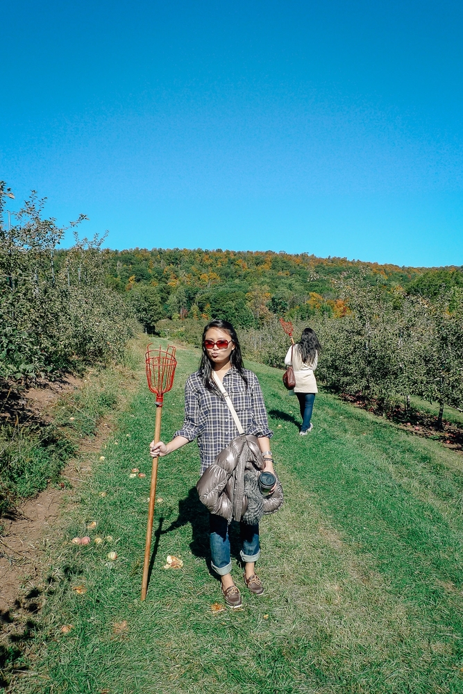 Apple Picking in Rockland County - 2010-1010-P1010755