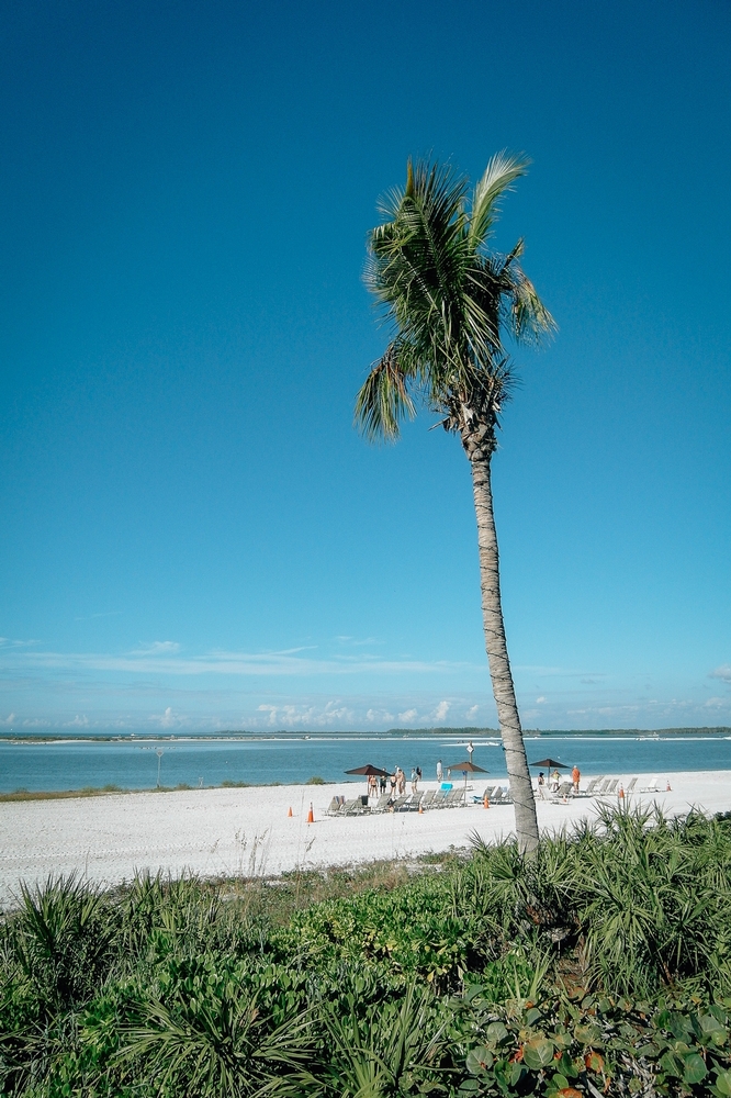 Thanksgiving in Marco Island - 2010-1127-SAM_1410