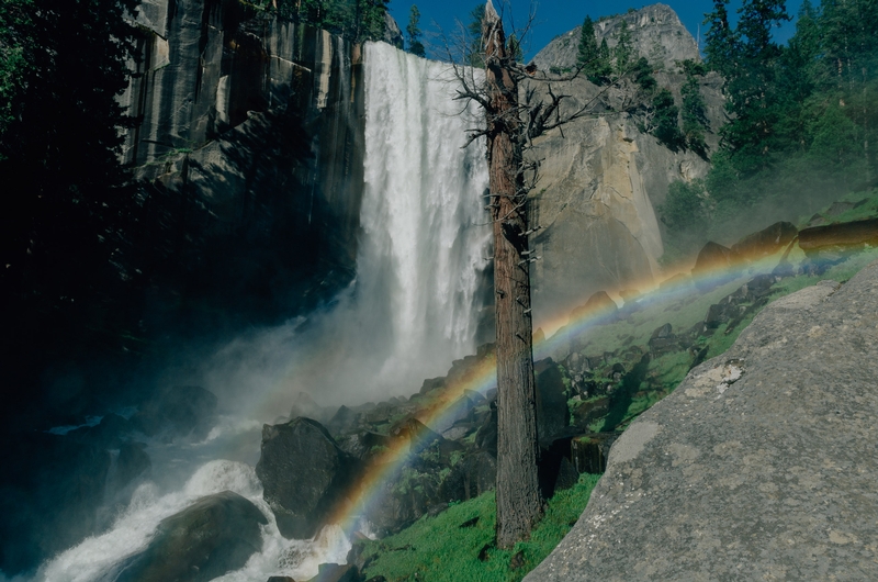 Yosemite National Park - 2011-0709-KPK_8584