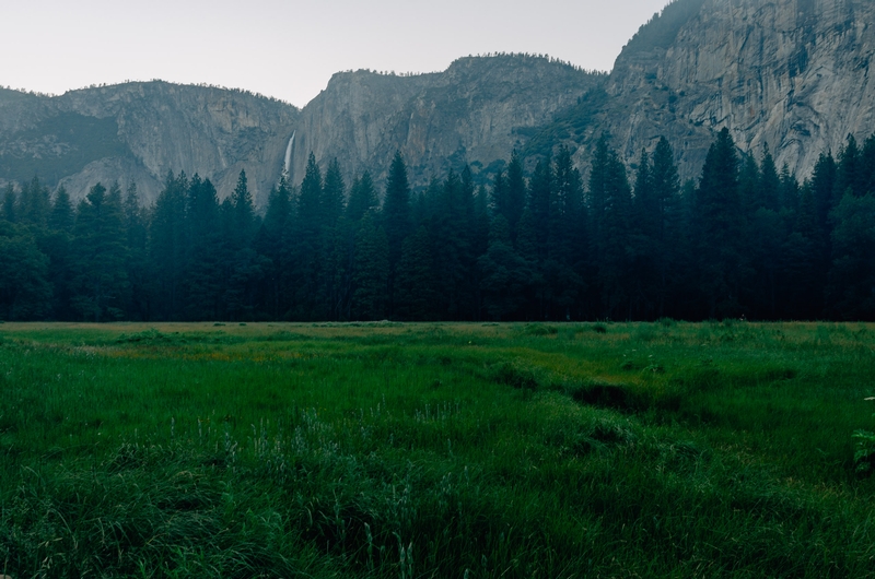 Yosemite National Park - 2011-0709-KPK_8621