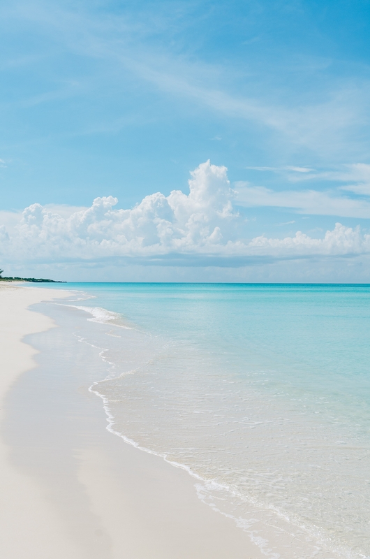 Turks & Caicos - Parrot Cay - 2011-1013-_KPK1033