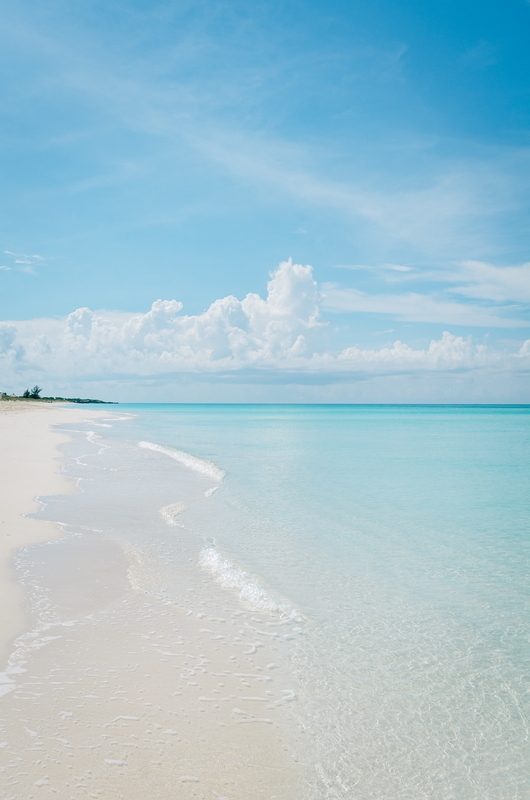 Turks & Caicos - Parrot Cay - 2011-1013-_KPK1036