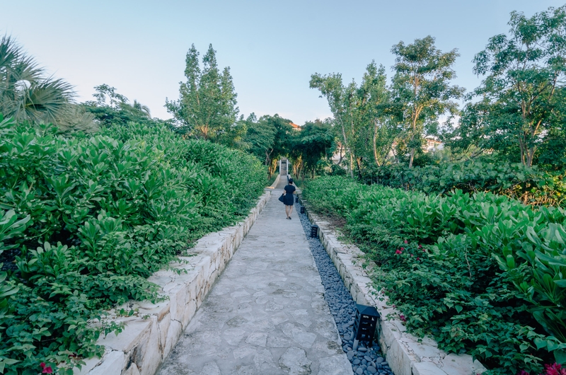 Turks & Caicos - Parrot Cay - 2011-1013-_KPK1118