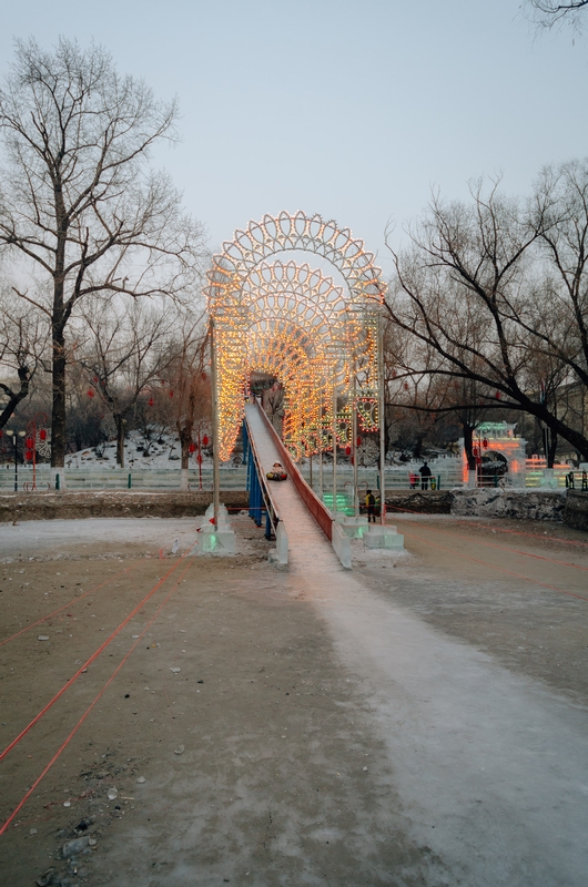 China - Harbin Ice Festival - 2012-0108-DSC_1876_2043