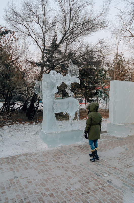 China - Harbin Ice Festival - 2012-0108-DSC_1883_12177