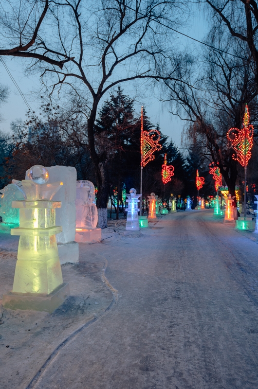 China - Harbin Ice Festival - 2012-0108-DSC_1889_48002