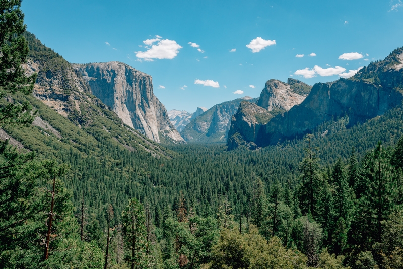 Yosemite National Park - 2012-0721-DSC_0099