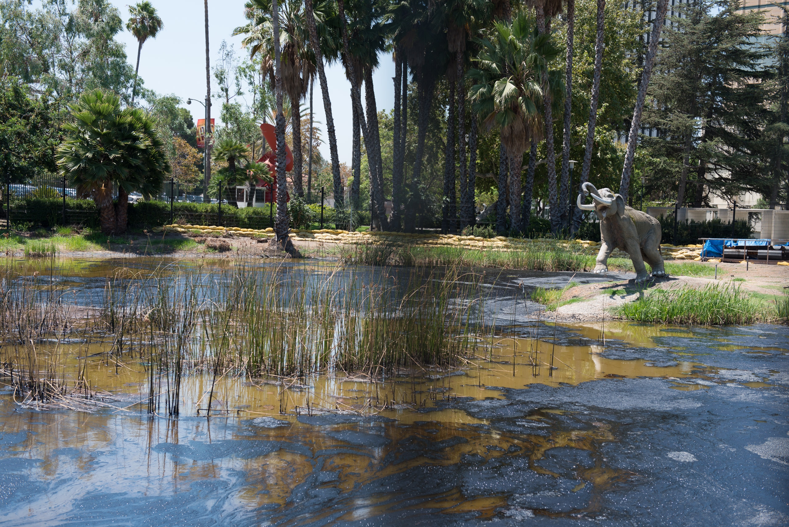 La Brea Tar Pits