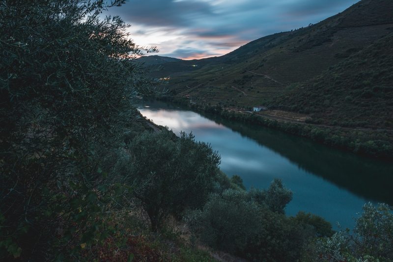 Portugal - The Douro Valley - 2012-0925-DSC_1755