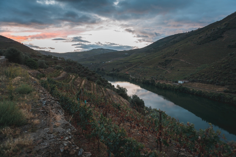 Portugal - The Douro Valley - 2012-0925-DSC_1768_15603