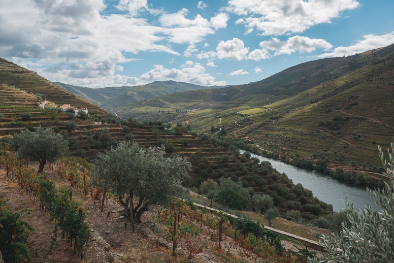 Portugal - The Douro Valley - 2012-0926-DSC_1865_3177