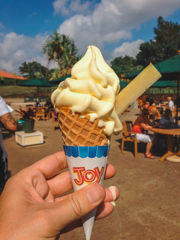 The Dole Whip