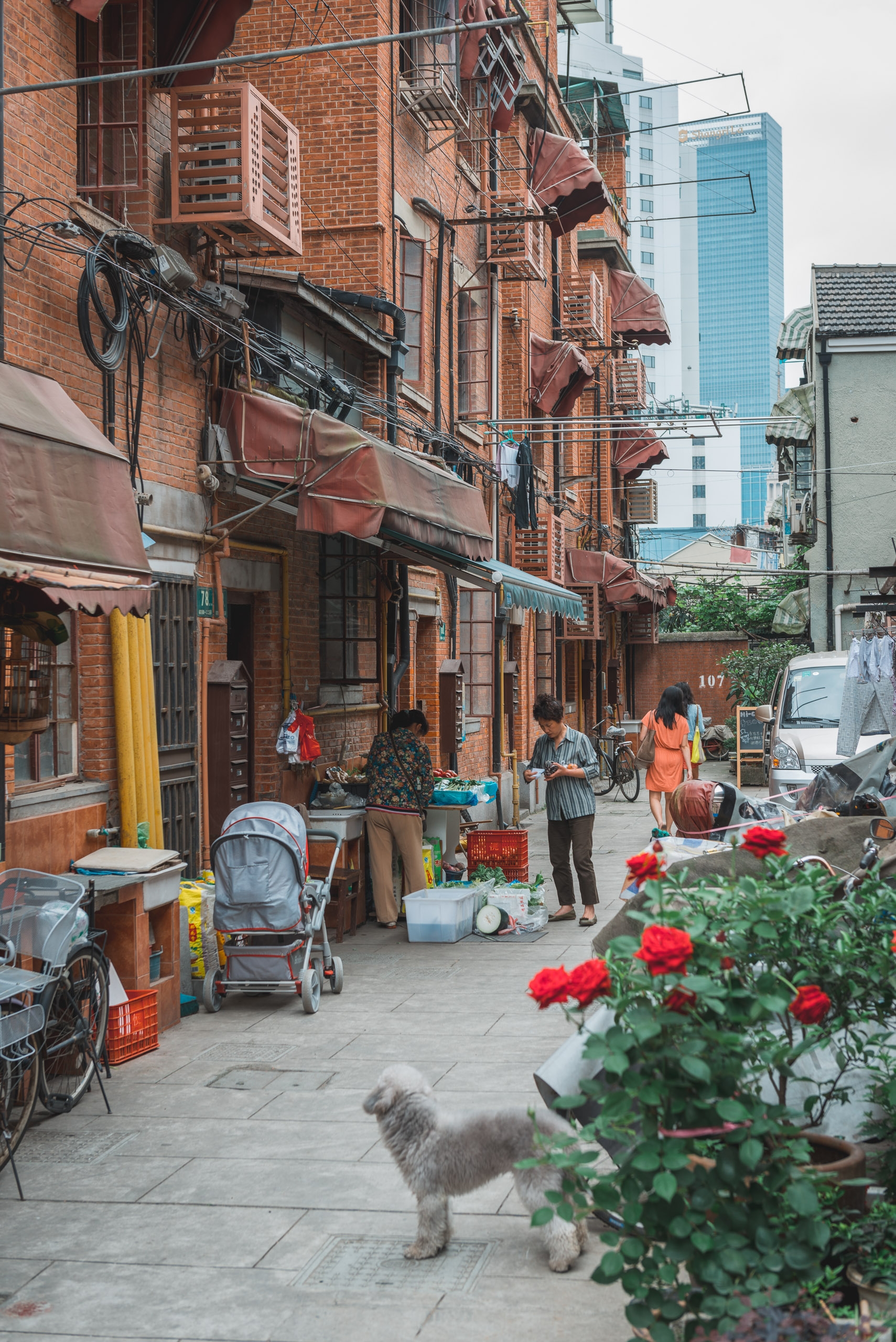 A narrow Shanghai alley lined with red brick buildings features residents, a dog, red flowers, and a modern tower rising in the background under overcast skies.