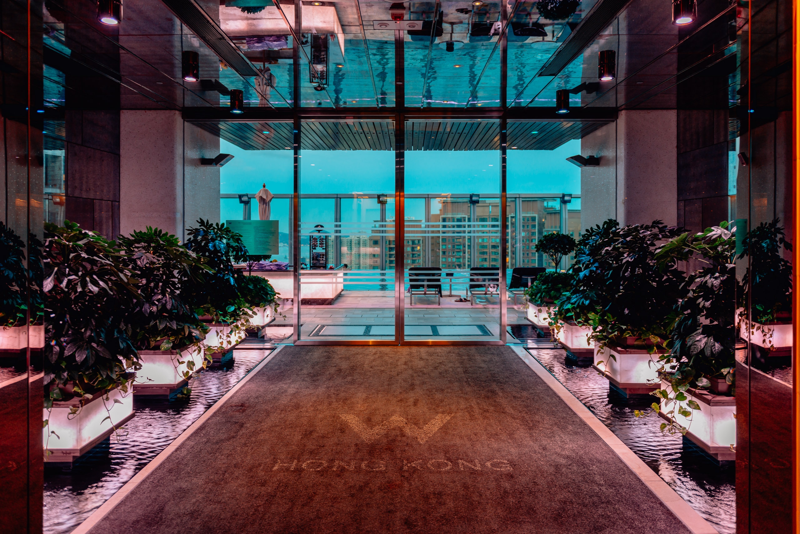 A modern high-rise building's glass-walled entrance corridor features potted plants on either side, warm lighting, and a turquoise sky visible through expansive windows overlooking the Hong Kong cityscape