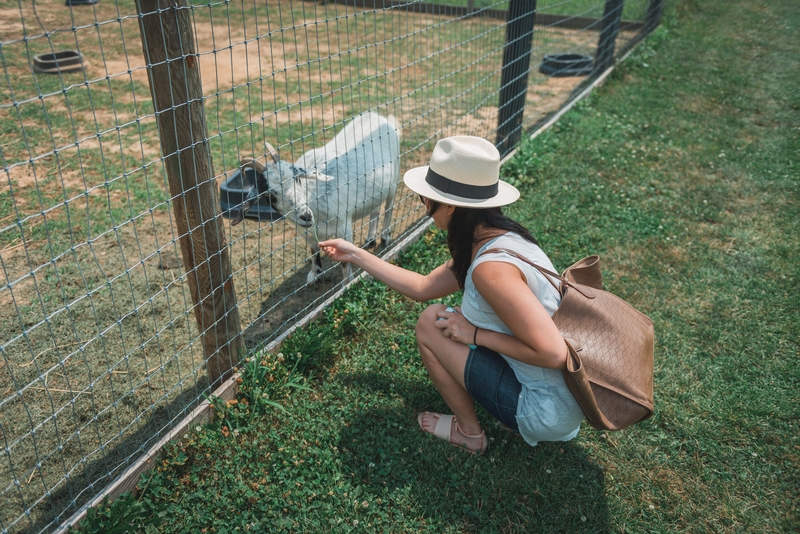 Jessica Meets a Goat - Part II