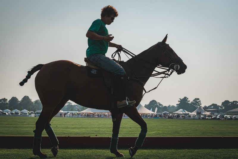 The Polo Match Ends