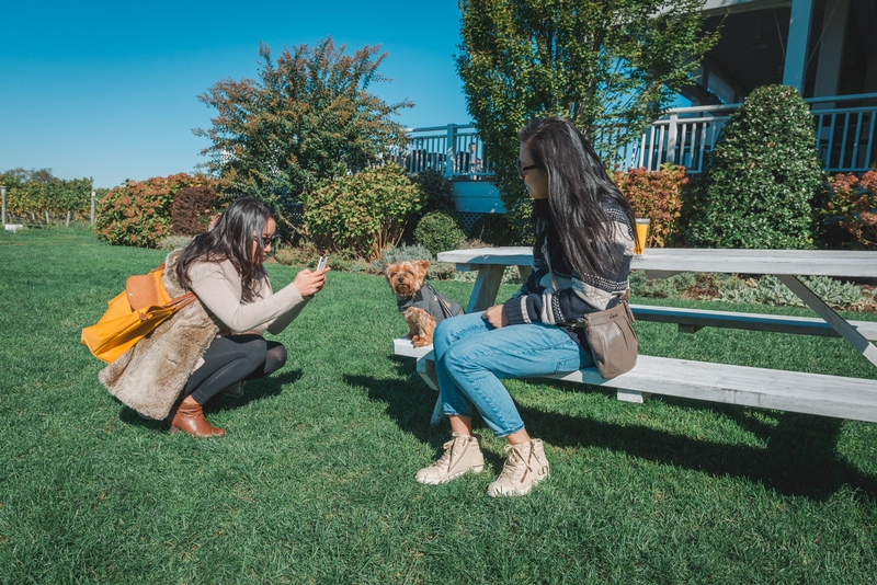 Asians Photographing Asian Dogs