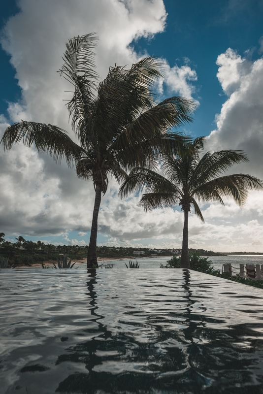 Palm Trees Near the Pool at the Viceroy Anguilla