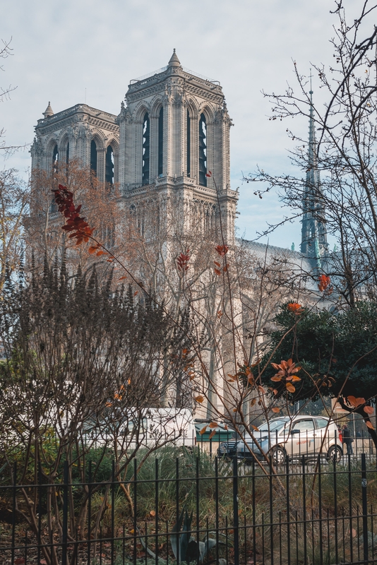 Notre Dame Among the Bushes