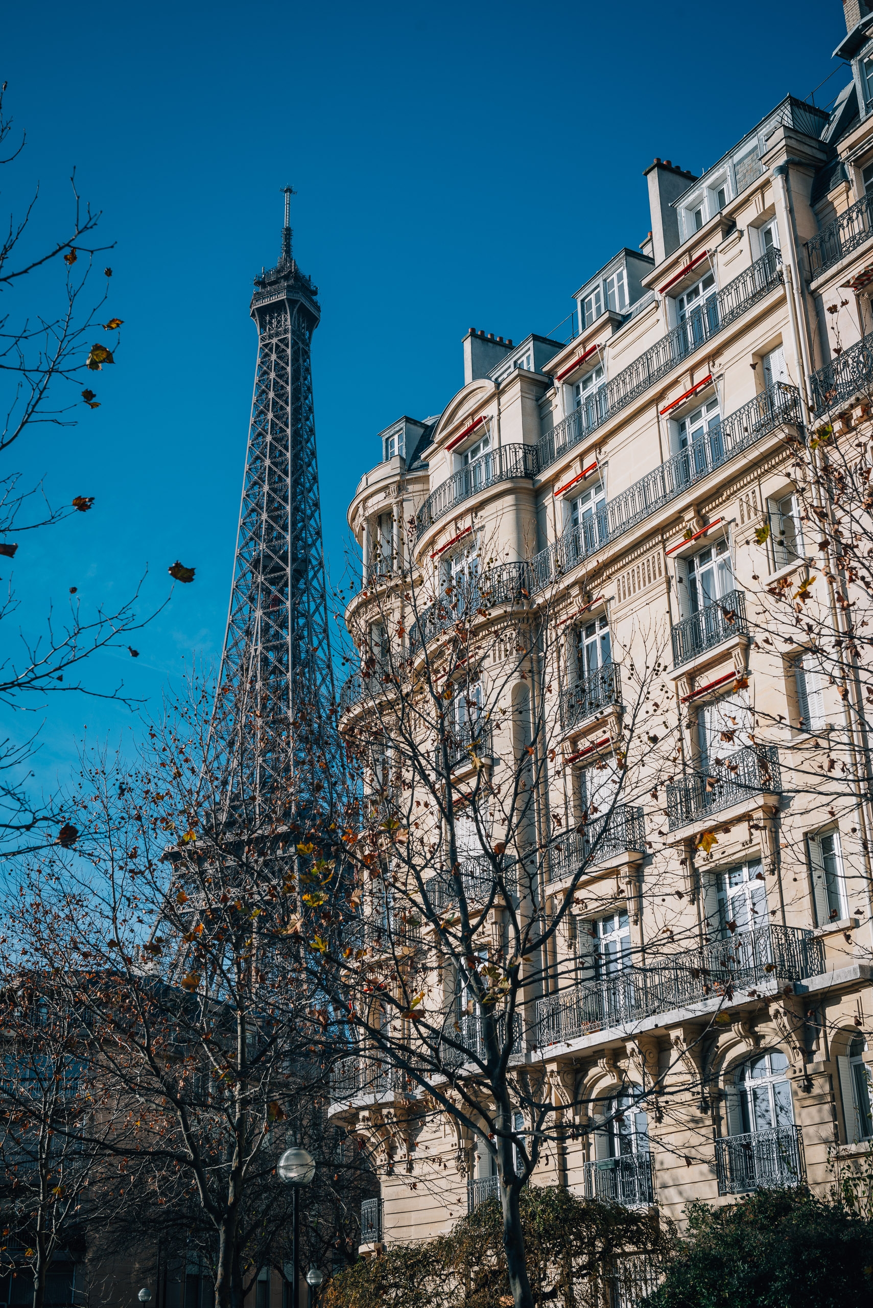 A cream-colored Haussmann apartment building stands beside the Eiffel Tower under clear blue skies, with bare autumn branches framing the classical Parisian architecture