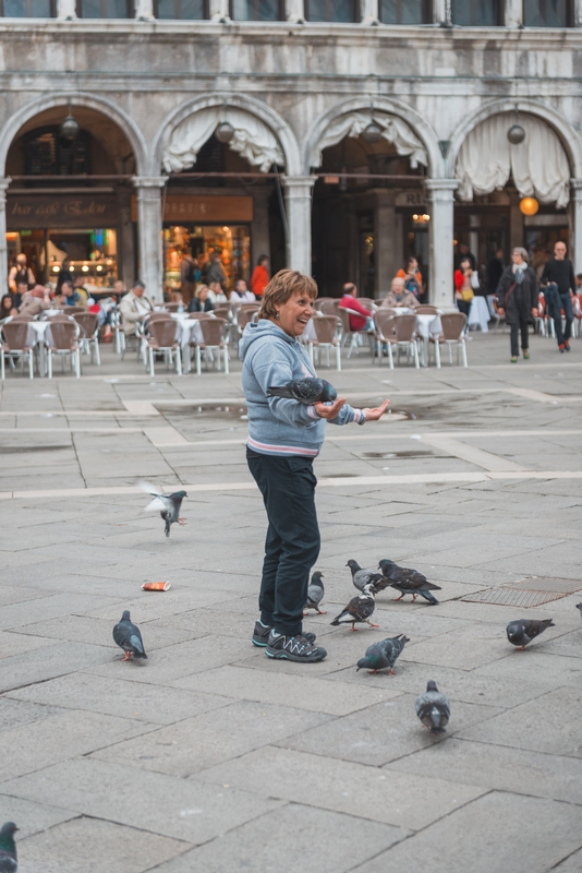 A Gross Pigeon Interaction