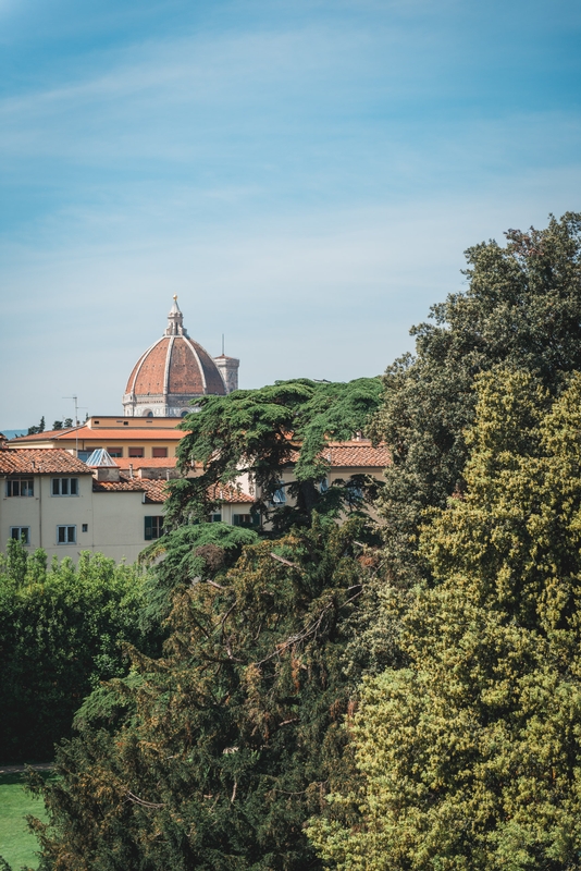 The View from the. Four Seasons Firenze