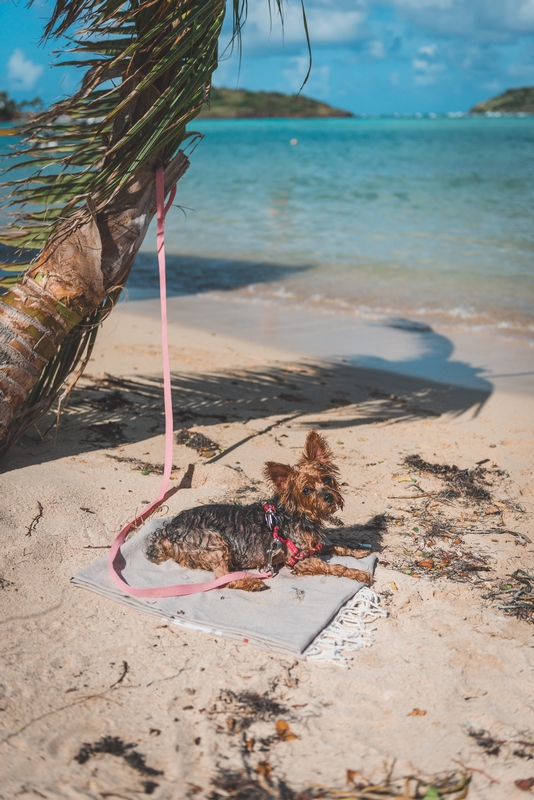 Suki at Anse du Petit cul De Sac