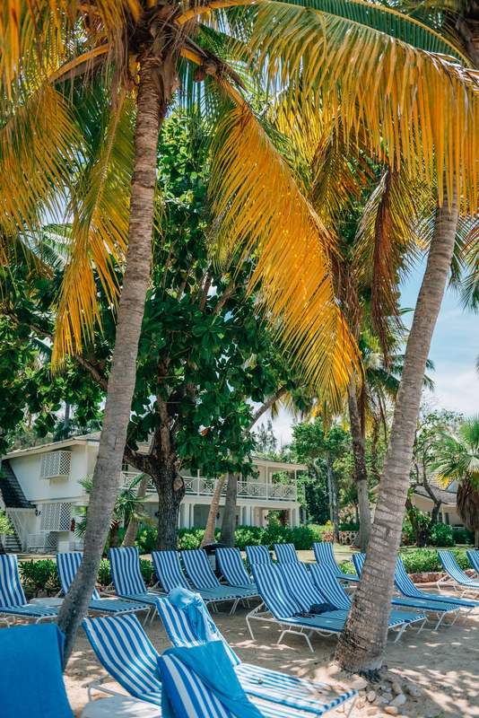 Beach Chairs Await