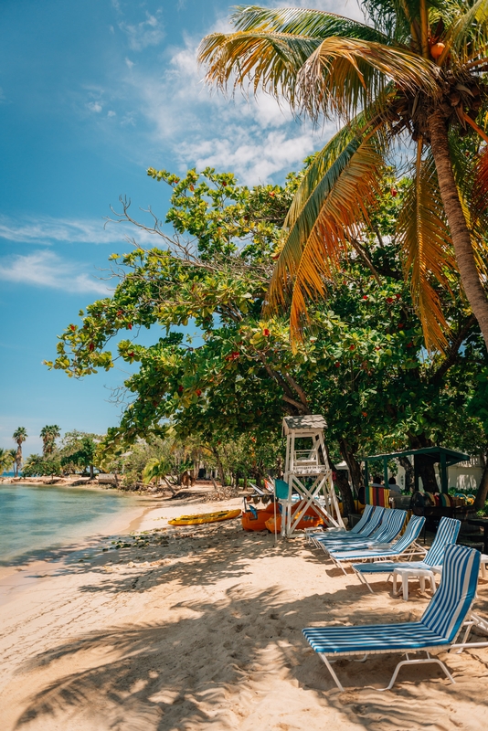 Beach Chairs